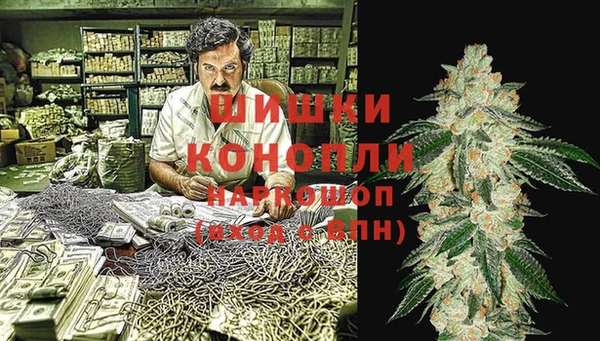 СК Пересвет