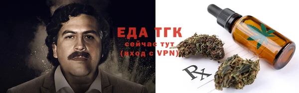 шишки Покачи