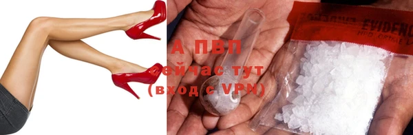 дживик Переславль-Залесский