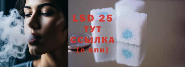 шишки Покачи