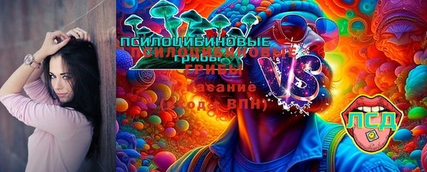 мяу мяу мука Чита