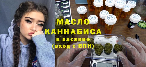 СК Пересвет