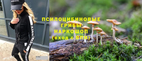 спиды Пестово