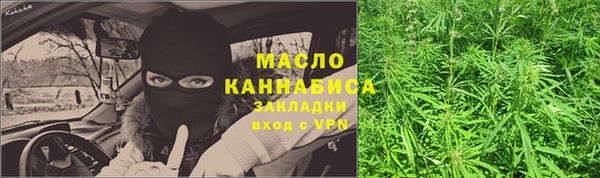 шишки Покачи