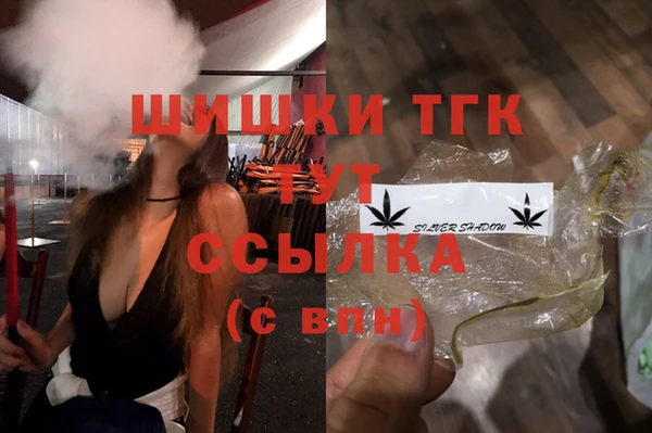 спиды Пестово