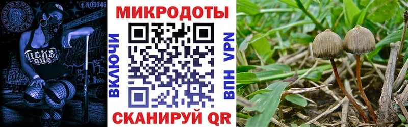 Псилоцибиновые грибы MAGIC MUSHROOMS  Чистополь 