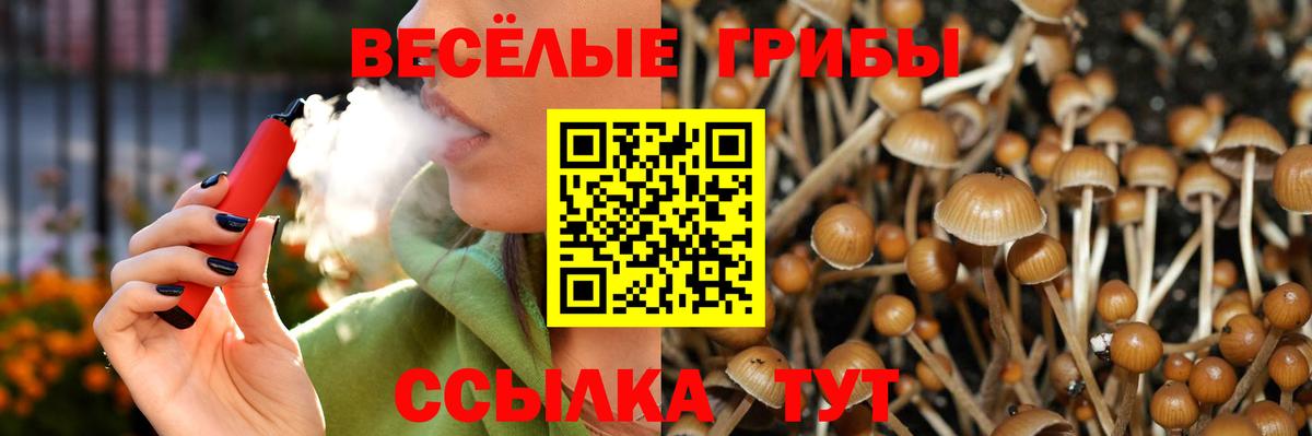 Галлюциногенные грибы Psilocybe Чистополь