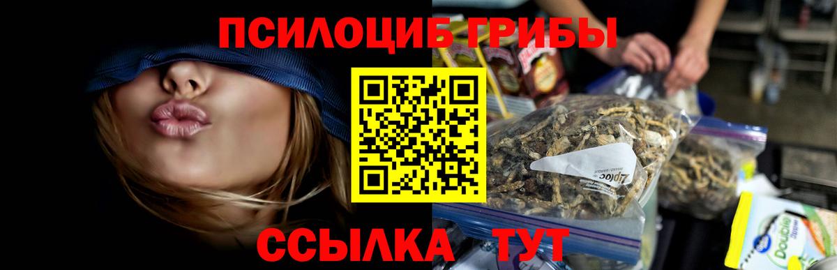 Чистополь  Псилоцибиновые грибы GOLDEN TEACHER  Вход с VPN 